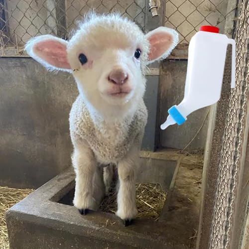 Lammmilchflasche - Lamm Fütterungsflasche | Kleintiermilchgetränk zum Füttern von Ziegen | Feeder, Feeder Hangable, Ziege Stillflaschen, Soft Nippel Drink von gifyym