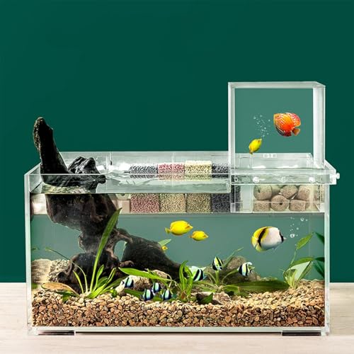 Nano-Unterdruck-Aquarium mit Filter und Licht, rechteckiges Aquarium mit LED-Licht, gleichmäßige Wartung, vakuumgehängtes Aquarium Nano-Unterdruck-Aquarium mit Filter und Licht, rechteckiges Aquarium mit LED-Licht, gleichmäßige Wartung, vakuumgehängtes Aquarium von gifyym