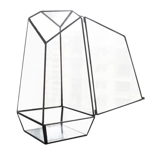 Pentagon Geometrisches Terrarium aus Glas, 25 cm, Terrarium, Blumendisplay mit Tür, handgefertigter Glas-Pflanzgefäß, geometrischer Terrarienbehälter für Farn, Moos und Luftpflanzen Pentagon Geometrisches Terrarium aus Glas, 25 cm, Terrarium, Blumendisplay mit Tür, handgefertigter Glas-Pflanzgefäß, geometrischer Terrarienbehälter für Farn, Moos und Luftpflanzen von gifyym