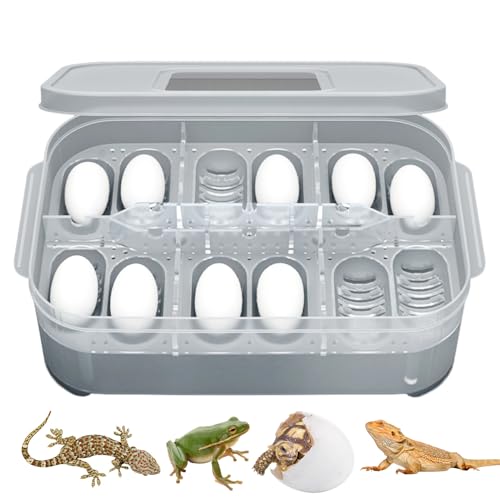 Reptilienschlüpfen Eierschalenbox - 12 Gitter Inkubator | Gecko Tortoise Snake & Semi-Aquatic Turtle | Klare Inkubationsbox - bärtige Scorpion -Spinnenzüchtung Reptilienschlüpfen Eierschalenbox - 12 Gitter Inkubator | Gecko Tortoise Snake & Semi-Aquatic Turtle | Klare Inkubationsbox - bärtige Scorpion -Spinnenzüchtung von gifyym
