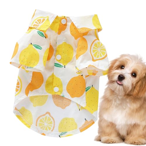 Sommer-Hundekleidung, atmungsaktive Hundebekleidung – Obstdruck, Welpenbekleidung, Haustier-T-Shirt, weiches Hunde-Shirt, Haustierbekleidung für kleine und mittelgroße Hunde Sommer-Hundekleidung, atmungsaktive Hundebekleidung – Obstdruck, Welpenbekleidung, Haustier-T-Shirt, weiches Hunde-Shirt, Haustierbekleidung für kleine und mittelgroße Hunde von gifyym