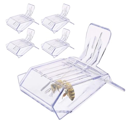 gifyym Imkerei Clip - Bienenkäfig Fänger - Imker Markierungswerkzeug - Falle Box und Markierungsfänger zur sicheren Aufbewahrung und Markierung von Bienenköniginnen (Bestellhinweis: 5 Stück in 1 Opp gifyym Imkerei Clip - Bienenkäfig Fänger - Imker Markierungswerkzeug - Falle Box und Markierungsfänger zur sicheren Aufbewahrung und Markierung von Bienenköniginnen (Bestellhinweis: 5 Stück in 1 Opp von gifyym