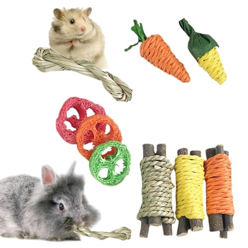 gifyym Kaninchen-Beißspielzeug – 9 Übungszubehör für Kleintiere, kleine Haustiere mit Seil, Übungszubehör für Kleintiere, Meerschweinchen, Haustier-Beißspielzeug gifyym Kaninchen-Beißspielzeug – 9 Übungszubehör für Kleintiere, kleine Haustiere mit Seil, Übungszubehör für Kleintiere, Meerschweinchen, Haustier-Beißspielzeug von gifyym
