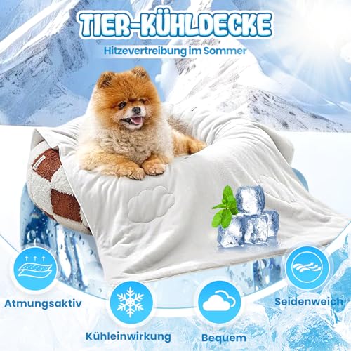 givuaime 2025 Neu Kühlmatte Hund, Kühlmatte für Den Sommer, rutschfeste Katzen Kühlmatte Bett Kühlkissen Hund, Haustiere Pet Ice Pad Abrieb- und Bissfest Natürliche Kühlung (Grau, S) von givuaime