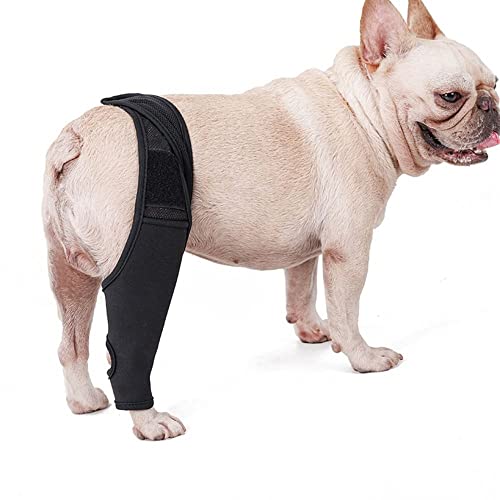 gofidin Hunde-Beinstütze, Haustier-Knieschoner, Ellenbogenstütze, atmungsaktiv, Kniebandage, Verletzungen, Erholung der Beine, reduziert Schmerzen und Entzündungen von gofidin