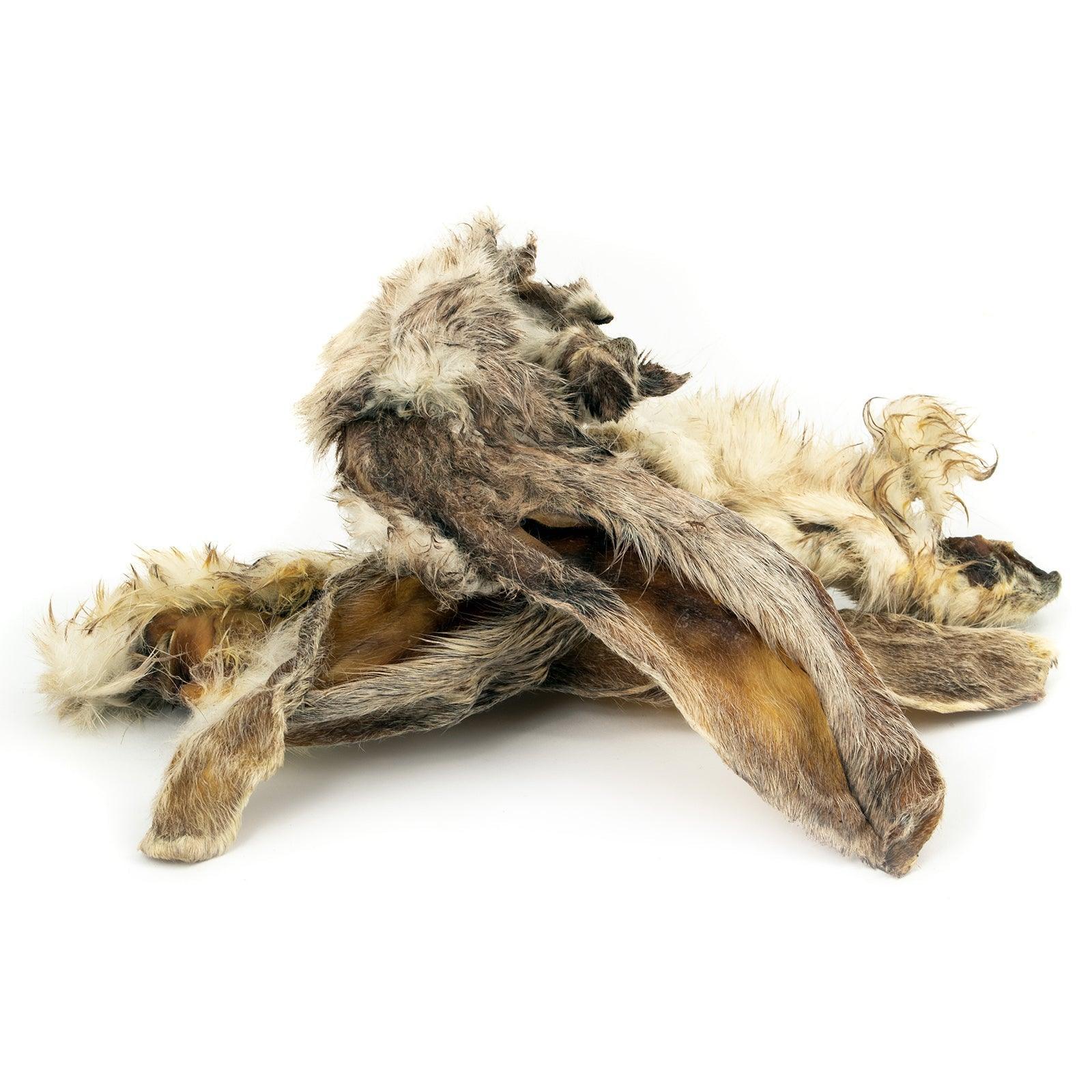 Kaninchenohren mit Fell | Gewicht: 1.000 g von goodmoodpetfood