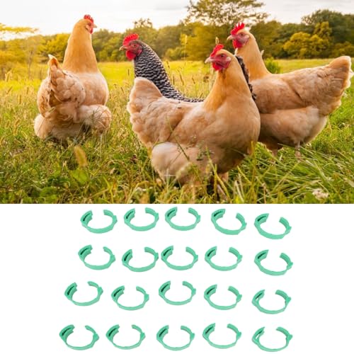 100Pcs Hühneridentifikationsbänder Verstellbar, DIY Schreiben, für Große Hühner, Enten, Gänseidentifikation, Einfach Installieren, Einfach zu Reinigen, Grün, Pp Material von goodstumbler