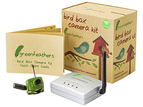 greenfeathers Kabellose Vogelhäusschen SD 700TVL Kamera mit Nachtsicht, kabellosem Empfänger, Weitwinkelobjektiv — perfekte Wildkamera für Ihren Garten, Nistkästen, Vogelhäuser von greenfeathers