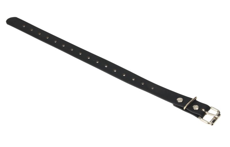 Greenguard Ersatzgurt für Maulkorb Onesize Greenguard Ersatzgurt für Maulkorb Onesize von greenguard