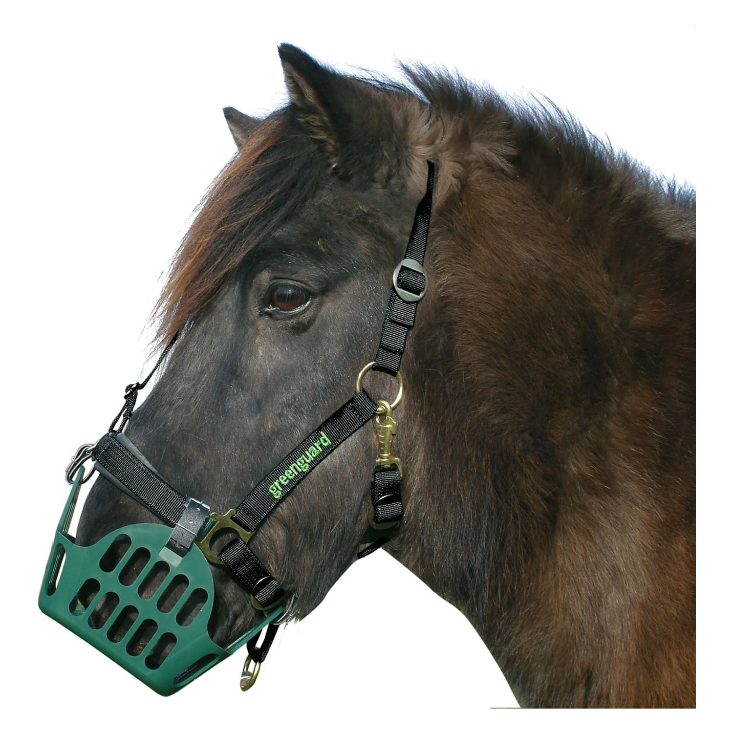Greenguard Halfter 60 Standard Vb Passend zum Weidemaulkorb Greenguard Halfter 60 Standard Vb Passend zum Weidemaulkorb von greenguard