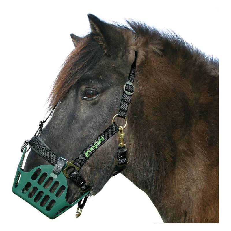 Greenguard Halfter 60 Standard Vb Passend zum Weidemaulkorb Greenguard Halfter 60 Standard Vb Passend zum Weidemaulkorb von greenguard