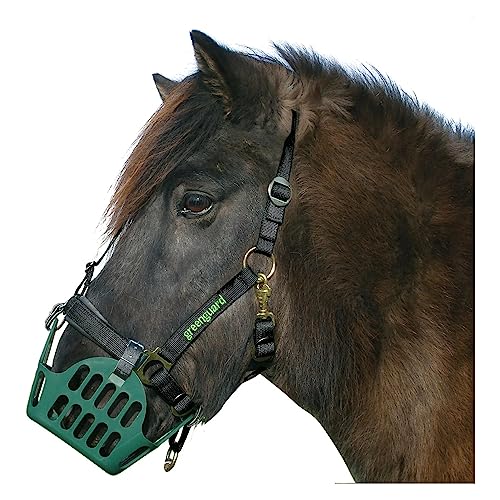 greenguard Halfter 60 Standard Vb Passend zum Weidemaulkorb greenguard Halfter 60 Standard Vb Passend zum Weidemaulkorb von greenguard
