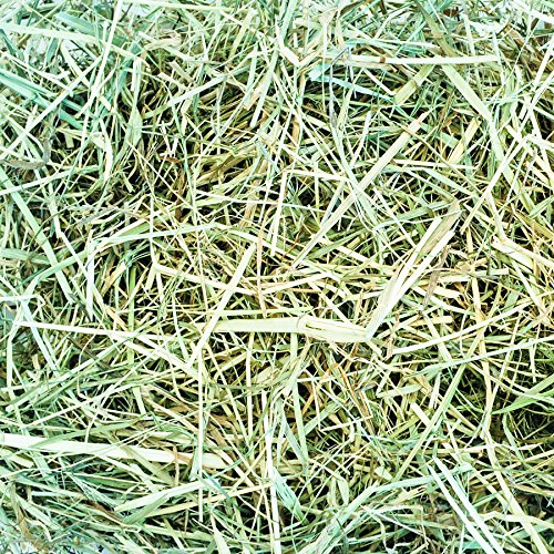 Grünhopper Streuobstwiesenheu 12 kg Heuballen von grünhopper