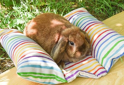 grünhopper Plumpsi Kaninchenbett (Rainbow) von grünhopper