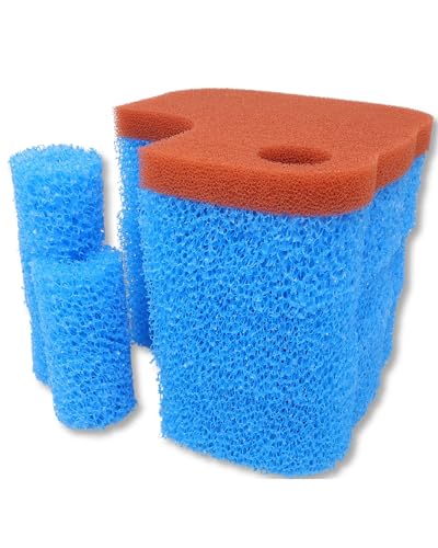 gws Ersatzfilter-Set passend für OASE Biomaster 350 Thermo & BioMaster 2 – 10 PPI & 30 PPI Filterschaum für EasyClean-Vorfilterungskammer und Hauptfilter – Made in Germany von gws