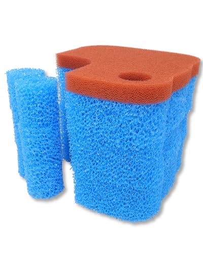 gws Ersatzfilter-Set passend für OASE Biomaster 600 Thermo & BioMaster 2 – 10 PPI & 30 PPI Filterschaum für EasyClean-Vorfilterungskammer & Hauptfilter – Made in Germany von gws