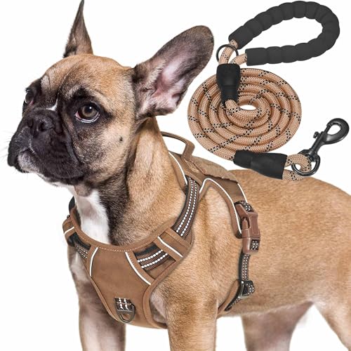Haapaw Heavy Duty Taktisches Hundegeschirr für kleine Hunde, kein Zug Verstellbares Haustiergeschirr Reflektierendes Service Training Einfache Steuerung Haustierweste Military K9 Arbeitshundegeschirre Haapaw Heavy Duty Taktisches Hundegeschirr für kleine Hunde, kein Zug Verstellbares Haustiergeschirr Reflektierendes Service Training Einfache Steuerung Haustierweste Military K9 Arbeitshundegeschirre von haapaw