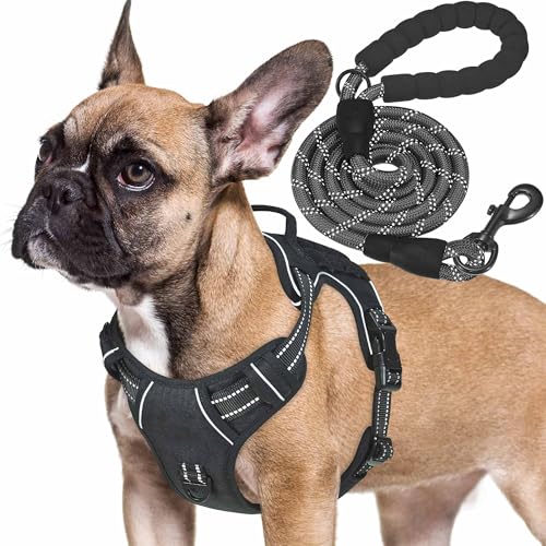 Haapaw Heavy Duty Taktisches Hundegeschirr für kleine Hunde, kein Zug Verstellbares Haustiergeschirr Reflektierendes Service Training Einfache Steuerung Haustierweste Military K9 Arbeitshundegeschirre Haapaw Heavy Duty Taktisches Hundegeschirr für kleine Hunde, kein Zug Verstellbares Haustiergeschirr Reflektierendes Service Training Einfache Steuerung Haustierweste Military K9 Arbeitshundegeschirre von haapaw