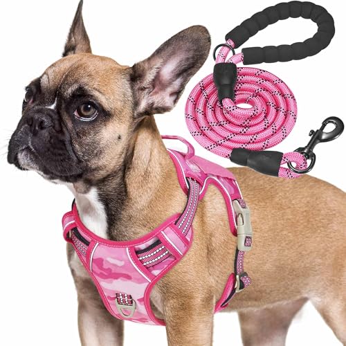 Haapaw Heavy Duty Taktisches Hundegeschirr für mittelgroße Hunde, kein Zug Verstellbares Haustiergeschirr Reflektierendes Service Training Einfache Steuerung Haustierweste Militär K9 Arbeiten Haapaw Heavy Duty Taktisches Hundegeschirr für mittelgroße Hunde, kein Zug Verstellbares Haustiergeschirr Reflektierendes Service Training Einfache Steuerung Haustierweste Militär K9 Arbeiten von haapaw