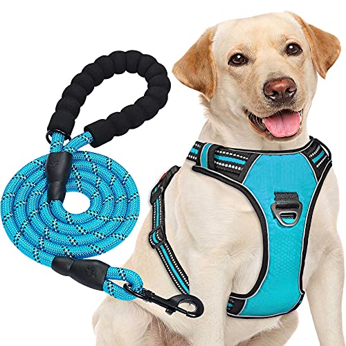 haapaw Hundegeschirr ohne Zug, einstellbar, reflektierend, Oxford, einfache Kontrolle, mittelgroßes Hundegeschirr mit kostenloser, strapazierfähiger Hundeleine haapaw Hundegeschirr ohne Zug, einstellbar, reflektierend, Oxford, einfache Kontrolle, mittelgroßes Hundegeschirr mit kostenloser, strapazierfähiger Hundeleine von haapaw