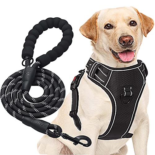 haapaw Hundegeschirr ohne Zug, einstellbar, reflektierend, Oxford, einfache Kontrolle, mittelgroßes Hundegeschirr mit kostenloser, strapazierfähiger Hundeleine haapaw Hundegeschirr ohne Zug, einstellbar, reflektierend, Oxford, einfache Kontrolle, mittelgroßes Hundegeschirr mit kostenloser, strapazierfähiger Hundeleine von haapaw