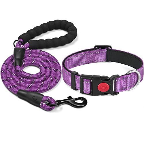haapaw reflektierendes Hundehalsband gepolstert mit weichem Neopren atmungsaktiv einstellbar Nylon Hundehalsbänder für kleine mittlere große Hunde haapaw reflektierendes Hundehalsband gepolstert mit weichem Neopren atmungsaktiv einstellbar Nylon Hundehalsbänder für kleine mittlere große Hunde von haapaw