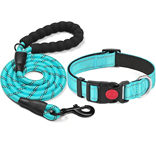 haapaw reflektierendes Hundehalsband gepolstert mit weichem Neopren atmungsaktiv einstellbar Nylon Hundehalsbänder für kleine mittlere große Hunde von haapaw