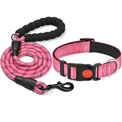 haapaw reflektierendes Hundehalsband gepolstert mit weichem Neopren atmungsaktiv einstellbar Nylon Hundehalsbänder für kleine mittlere große Hunde haapaw reflektierendes Hundehalsband gepolstert mit weichem Neopren atmungsaktiv einstellbar Nylon Hundehalsbänder für kleine mittlere große Hunde von haapaw