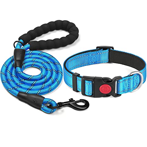 haapaw reflektierendes Hundehalsband gepolstert mit weichem Neopren atmungsaktiv einstellbar Nylon Hundehalsbänder für kleine mittlere große Hunde haapaw reflektierendes Hundehalsband gepolstert mit weichem Neopren atmungsaktiv einstellbar Nylon Hundehalsbänder für kleine mittlere große Hunde von haapaw