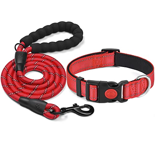 haapaw reflektierendes Hundehalsband gepolstert mit weichem Neopren atmungsaktiv einstellbar Nylon Hundehalsbänder für kleine mittlere große Hunde haapaw reflektierendes Hundehalsband gepolstert mit weichem Neopren atmungsaktiv einstellbar Nylon Hundehalsbänder für kleine mittlere große Hunde von haapaw