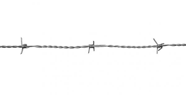 hadra Stacheldraht 250m, 2x1,7mm, dickfeuerverzinkt, für Festzaunan... hadra Stacheldraht 250m, 2x1,7mm, dickfeuerverzinkt, für Festzaunan... von hadra