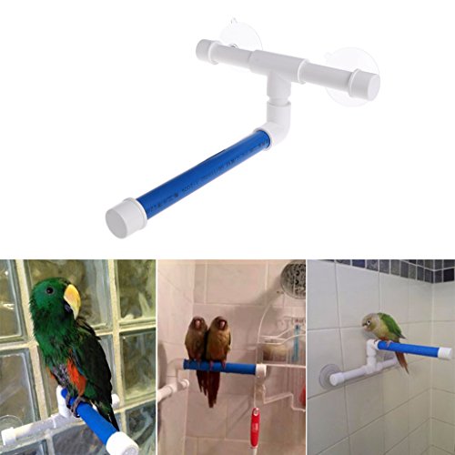haia7k4k Haustier Papagei Bad Dusche Sitzstangen Plattform Rack Saugwand Tasse Vogel Spielzeug von haia7k4k