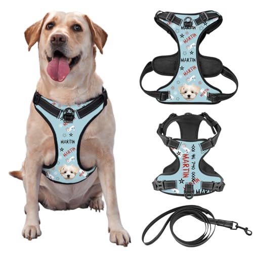 Custom Pet Picture Hundegeschirr mit Namen und Telefonnummer Pet Leash Vest für Training und Walking, Kommt mit Leine Optional von half-acre square pond