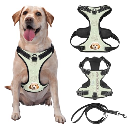 Custom Pet Picture Hundegeschirr mit Namen und Telefonnummer Pet Leash Vest für Training und Walking, Kommt mit Leine Optional von half-acre square pond