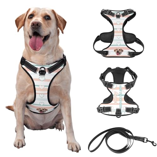 Custom Pet Picture Hundegeschirr mit Namen und Telefonnummer Pet Leash Vest für Training und Walking, Kommt mit Leine Optional von half-acre square pond