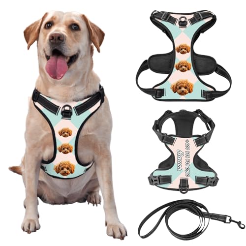 Custom Pet Picture Hundegeschirr mit Namen und Telefonnummer Pet Leash Vest für Training und Walking, Kommt mit Leine Optional von half-acre square pond