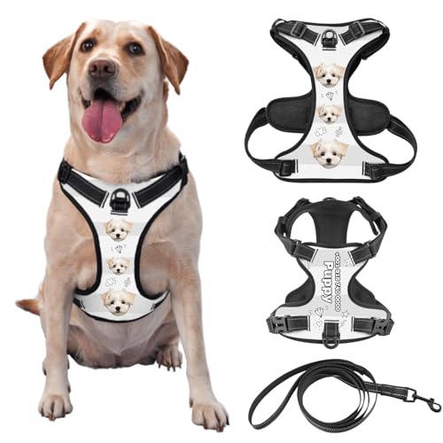 Individuelle Hundegeschir mit Foto und Namen des Tieres, Personalisierte Verstellbare Reflektierende Weste für Haustiere, Geeignet für Outdoor-Läufe zur Vermeidung von Verlusten, Optional mit Leine von half-acre square pond