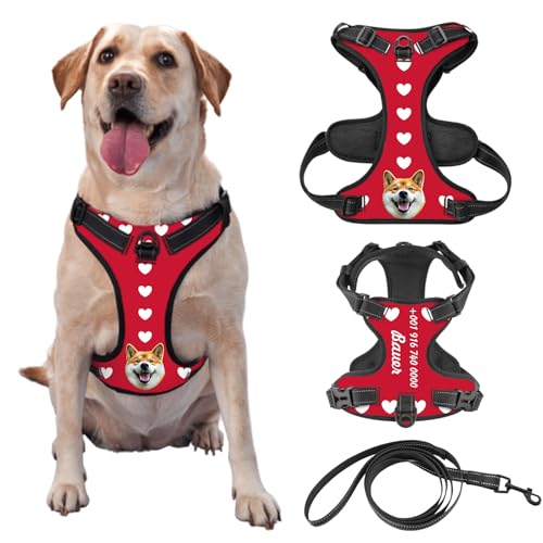 Individuelle Hundegeschir mit Foto und Namen des Tieres, Personalisierte Verstellbare Reflektierende Weste für Haustiere, Geeignet für Outdoor-Läufe zur Vermeidung von Verlusten, Optional mit Leine von half-acre square pond