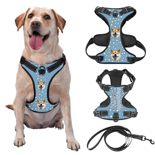 Individuelle Hundegeschir mit Foto und Namen des Tieres, Personalisierte Verstellbare Reflektierende Weste für Haustiere, Geeignet für Outdoor-Läufe zur Vermeidung von Verlusten, Optional mit Leine von half-acre square pond