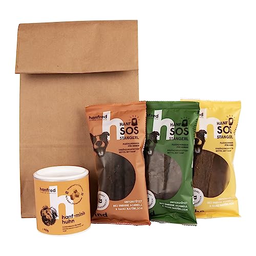 Hanfred Geschenktüte, Geschenk für Hunde und Hundebesitzer, Snackbox, Leckerlibox (Klein) von hanfred