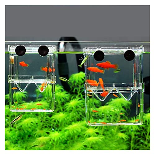 hanxiaoyishop Doppelstöckige durchsichtige Fischzucht-Isolationsbox für Aquarien, Brutkästen, Brutkästen, Fischhäuser, Fischhäuser (Farbe: transparent, Größe: klein) von hanxiaoyishop