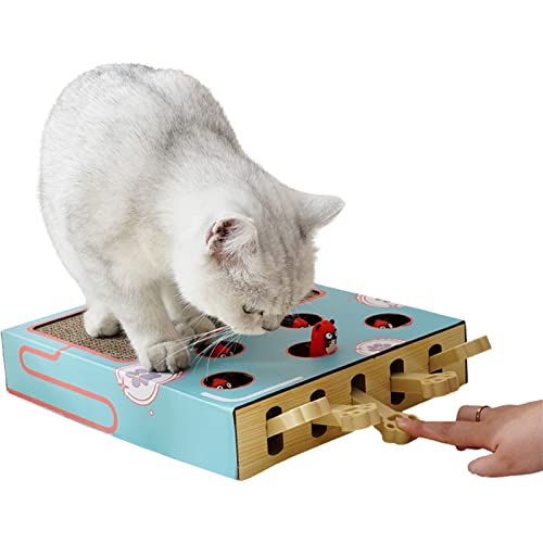 haoying Katzenkratzer Karton | Whack-a-Mole Katzenspielzeug mit Kratzbrett - Interaktives Katzenspielzeug Zug IQ für Indoor-Katzen und Kätzchen-Katzenbedarf haoying Katzenkratzer Karton | Whack-a-Mole Katzenspielzeug mit Kratzbrett - Interaktives Katzenspielzeug Zug IQ für Indoor-Katzen und Kätzchen-Katzenbedarf von haoying
