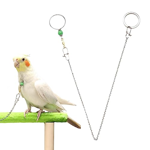 Papagei Hals Leine Kette, Edelstahl Vogel Kragen Kette, Sicherheitsschnalle Design Bequem Papagei Hals Kragen Mit 8 Zeichen Ringe Für Nymphensittiche Haoying Papagei Hals Leine Kette, Edelstahl Vogel Kragen Kette, Sicherheitsschnalle Design Bequem Papagei Hals Kragen Mit 8 Zeichen Ringe Für Nymphensittiche Haoying von haoying