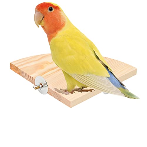 haoying Vogel-Sitzstange Ständer Plattform Spielzeug | Fächerform Vogel Holz Springboard Plattform | Tragbares Käfigzubehör, Übungsständer Sitzstange Regal für Wellensittiche, Nymphensittiche, Igel von haoying