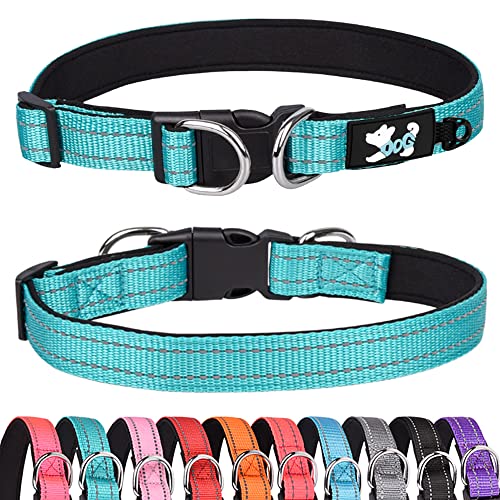 Haoyueer Gepolstertes Hundehalsband Reflektierende Hundehalsbänder für kleine, mittelgroße und große Hunde Bequemes weiches Neopren Verstellbare Basic Hundehalsbänder (S, Grün) von haoyueer