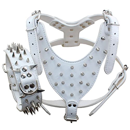 Haoyueer Hundehalsbänder aus Leder, mit spitzen Nieten, mittelgroß und groß, 2-teiliges Set, passend für Pit Bull, Mastiff, Boxer, Bullterrier (weiß, XL) von haoyueer