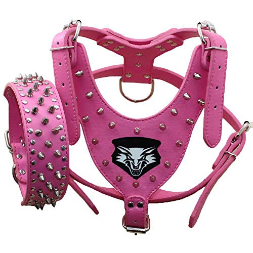 haoyueer 2er-Set Hundehalsbänder mit Nieten aus Leder, Größe M und L, für Pit Bull, Mastin, Boxer, Bull Terrier (XL, Hot Pink-1) von haoyueer