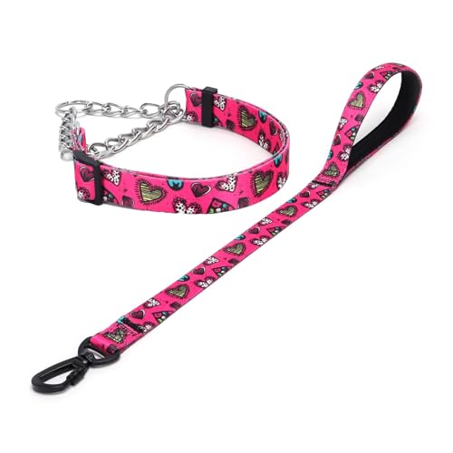 Haoyueer Martingale Hundehalsband und Leine, Edelstahlkette, kein Ziehen, Trainingshalsband mit Blumen-Design, für kleine, mittelgroße und große Hunde (NO1, M) von haoyueer