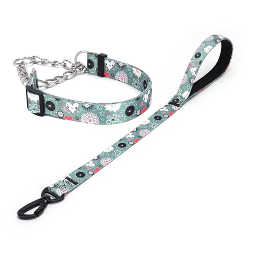 Haoyueer Martingale Hundehalsband und Leine, Edelstahlkette, kein Ziehen, Trainingshalsband mit Blumen-Design, für kleine, mittelgroße und große Hunde (NO11, L) von haoyueer