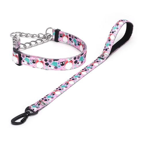 Haoyueer Martingale Hundehalsband und Leine, Edelstahlkette, kein Ziehen, Trainingshalsband mit Blumen-Design, für kleine, mittelgroße und große Hunde (NO12, S) von haoyueer